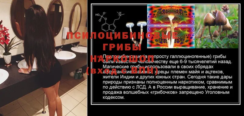 Галлюциногенные грибы MAGIC MUSHROOMS  продажа наркотиков  KRAKEN онион  Владивосток 